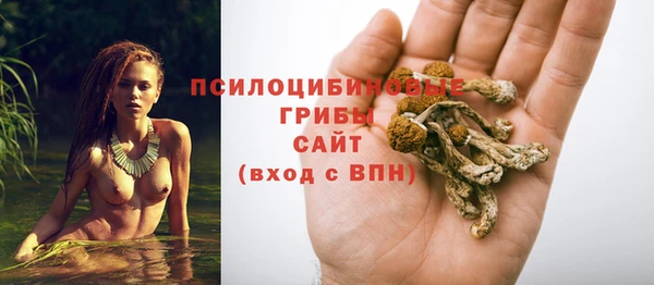 прущая мука Верхний Тагил