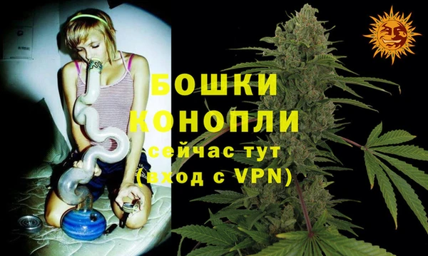 соль ск Верея
