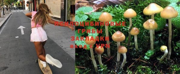 прущая мука Верхний Тагил