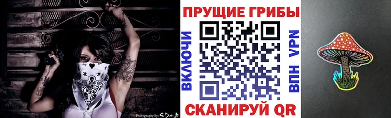 Псилоцибиновые грибы Cubensis  Купить закладки  Котельниково 