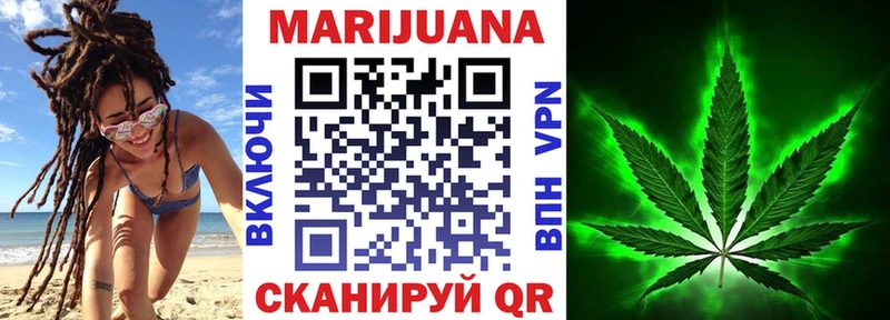 Купить где  Котельниково  Конопля SATIVA & INDICA 